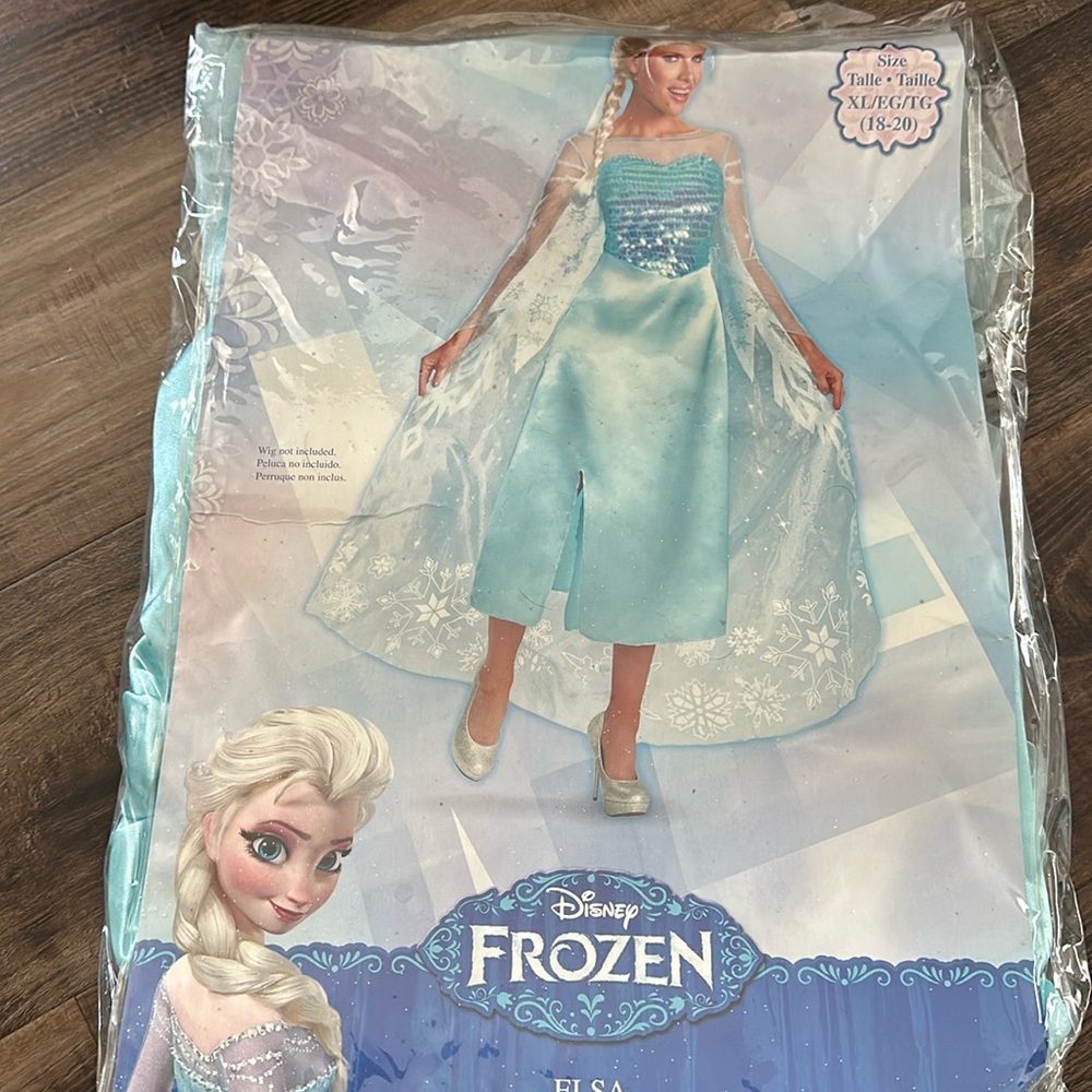Frozen Elsa Disney Costume Ice Queen